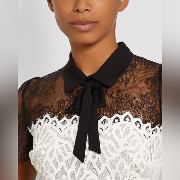 Sandro Paris Rosen Two Tone Sheer Mini Dress Sz 2 - Picture 12 of 16